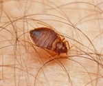 Time to tackle dirty laundry to prevent bed bugs
