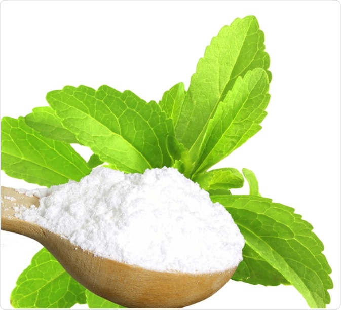 Sugar substitute Stevia plant and extract powder. Image Credit: govindji / Shutterstock