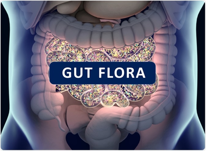 Gut bacteria, gut flora, microbiome. Bacteria inside the small intestine 3D illustration. Image Credit: Anatomy Insider / Shutterstock