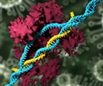 Nanoparticles carrying CRISPR gene editing tools for genetic modifications