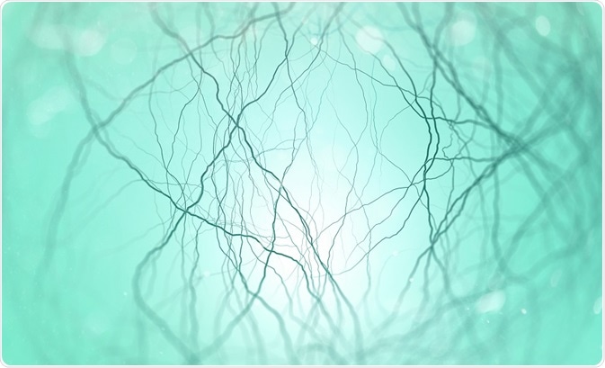 Neurons in the brain on light background (3D illustration) Andrii Vodolazhskyi