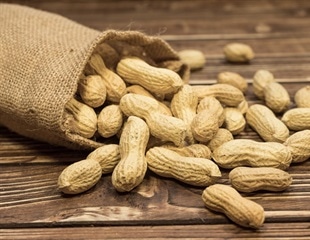 Key immunological changes that support peanut allergy remission in children discovered