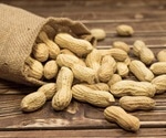 Skin patch offers hope for people with peanut allergy