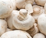 Mushrooms contain high amounts of antioxidants that combat aging and promote health