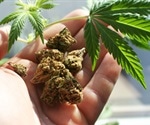 FDA warning on miracle marijuana cures for cancer