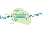IDT offers cost-effective and most complete spectrum of CRISPR genome editing systems