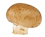 Japanese mushroom extract shows promise in eradicating HPV
