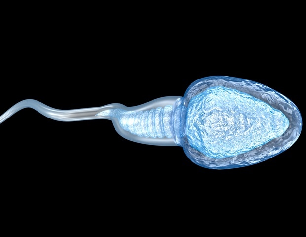 Most cancers threat elevated in households with male infertility
