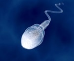 Targeting critical enzyme for sperm formation could help address male infertility