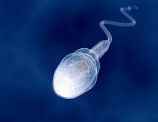 Understanding the role of genetic variants in male infertility