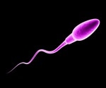 DNA must be enormously compressed in sperm cells, study says