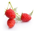 Studies aim to better understand potential health benefits of red raspberries