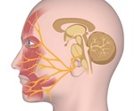 Most cases of facial nerve paralysis in children can be treated successfully