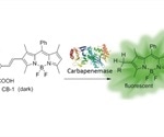 Chinese scientists develop simple fluorescence-based assay to detect carbapenem-resistant pathogens