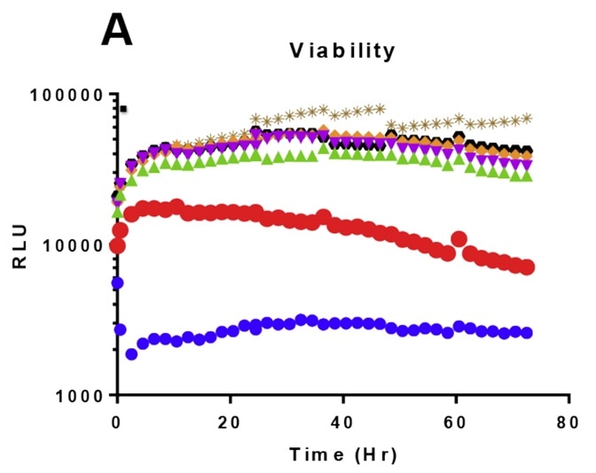 Time and dose-dependent effects on K562 cell health following ponatinib treatment.