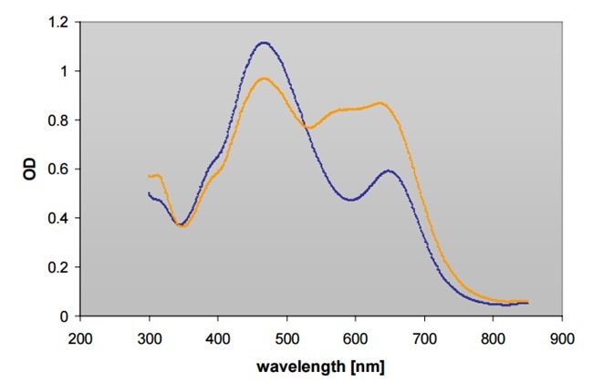 Absorbance scan (300-900 nm) of BioRad Protein assay reagent with (▬) and without (▬) BSA on Infinite M200 reader.