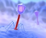 Viruses exploit ability to sense the environment to maximize their infective yield