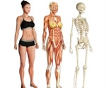 Muscle paralysis may promote breakdown of bones