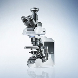 BX43 Upright Microscope from Evident Corporation