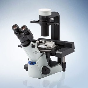 CKX53 Inverted Microscope from Evident Corporation