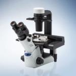 CKX53 Inverted Microscope from Olympus Life Science Solutions