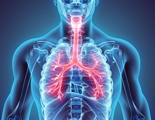 Study determines the mechanism behind respiratory inflammation and finds effective treatment