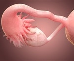 3-D printed ovary produces offspring in animal model