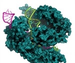 CRISPR may not be as foolproof as earlier believed – gene editing tech leads to unwanted mutations