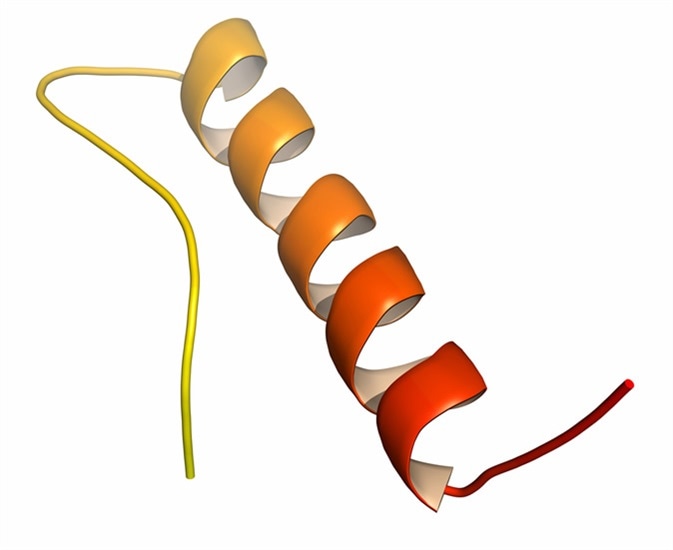 Peptide YY (PYY) appetite reducing polypeptide - Image Credit: Molekuul_be / Shutterstock