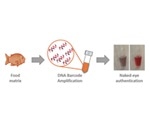 Simple tool based on DNA barcoding technology enables naked-eye authentication of food