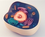 New live cell models lay the groundwork for studies into mitochondrial diseases