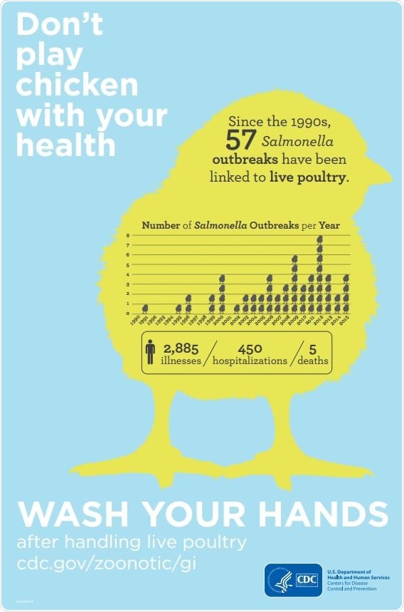 CDC Poster: Don’t Play Chicken with Your Health