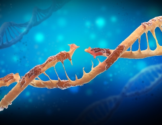 Une étude révèle comment les dommages à l’ADN causés par l’instabilité chromosomique augmentent le caractère invasif du cancer
