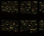Microarray-based genomic selection accelerates discovery of subtle DNA variations