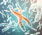 MGH researchers identify key mechanism in X chromosome inactivation