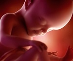 Face recognition abilities apparent in fetuses