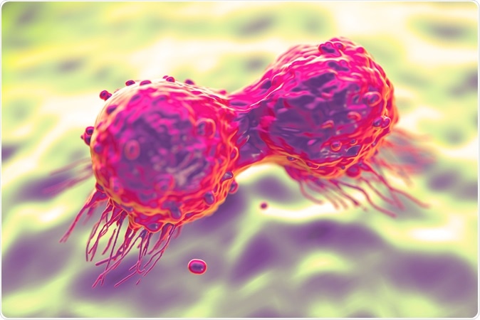 Dividing breast cancer cell - Image Credit: royaltystockphoto.com / Shutterstock