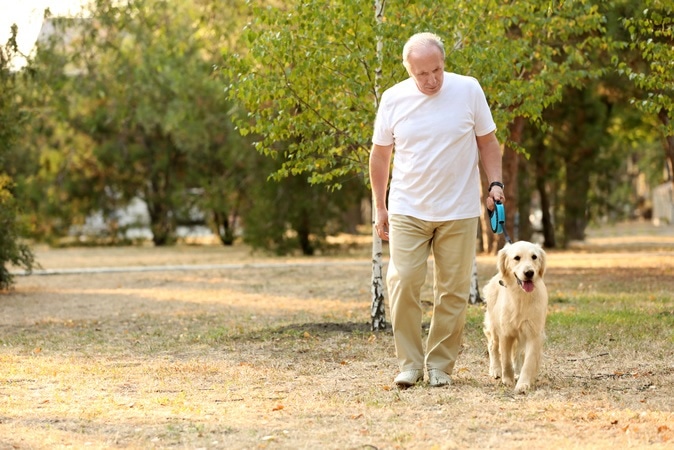 Senior man and big dog walking in park - Image Credit: Africa Studio / Shutterstock