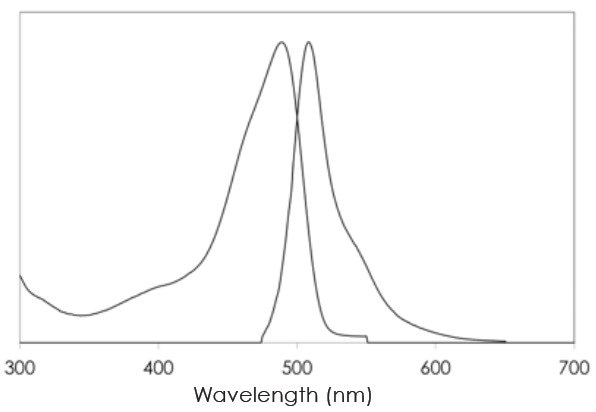 Excitation and emission spectra of EGFP.