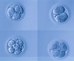 US scientists make advances in modifying human embryos