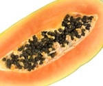 Multistate Salmonella outbreak linked to Maradol Papaya: CDC reports