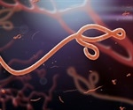 WHO declares Ebola outbreak in Democratic Republic of Congo now over