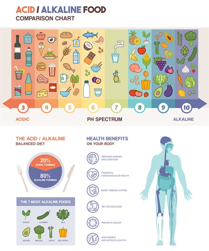El infographics alcalino ácido de la carta de la comida de la dieta con los iconos de la comida en una escala del pH y carrocería con los iconos de las subsidios por enfermedad. Haber de imagen: elenabsl/Shutterstock
