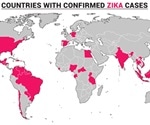 Zika Virus History