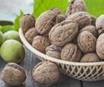 Walnuts reduce hunger by activating a certain brain region, say researchers