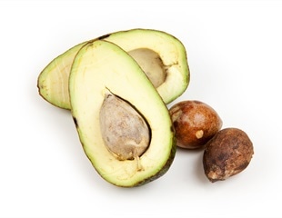 Study reveals possible medical and industrial properties of avocado seed husks