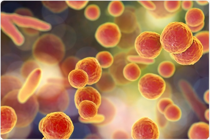 Mycoplasma bacteria, 3D illustration showing small polymorphic bacteria which cause pneumonia, genital and urinary infections. Image Credit: Kateryna Kon / Shutterstock