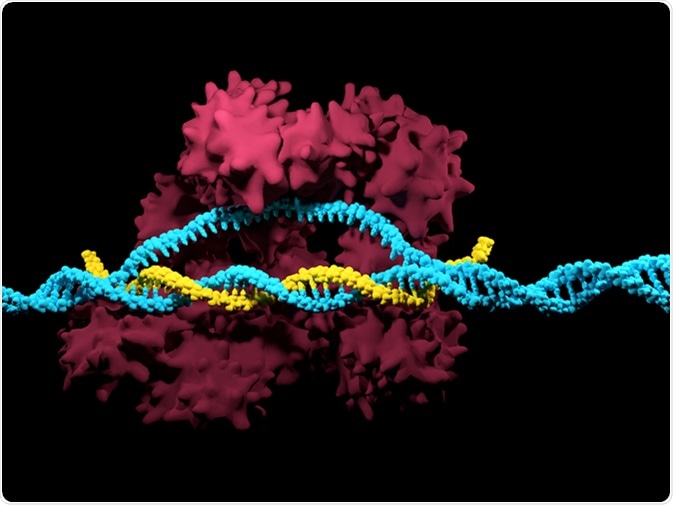 CRISPR-Cas9 Illustration. Image Credit: Meletios / Shutterstock