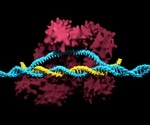Could CRISPR Repair CFTR in Cystic Fibrosis Patients?