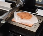 Sectioning and Staining Large Brain Tissue for Neuroscience Research
